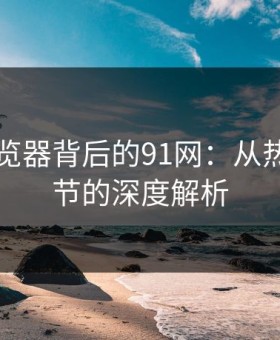91网浏览器背后的91网：从热度到细节的深度解析