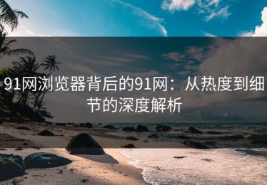 91网浏览器背后的91网：从热度到细节的深度解析