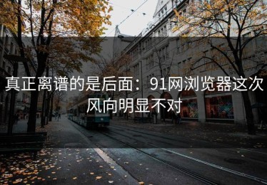 真正离谱的是后面：91网浏览器这次风向明显不对