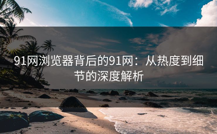 91网浏览器背后的91网：从热度到细节的深度解析